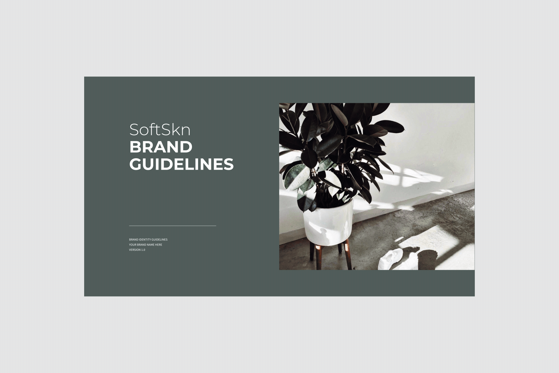 SoftSkn Brand Guidelines – Presentation Template
